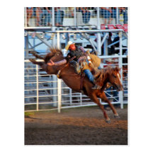 Rodeo! Post Cards