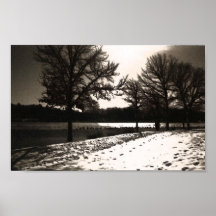 Roger Williams Park in Winter Print