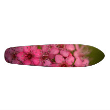 roll skateboard deck
