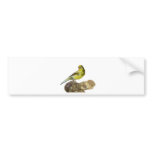 Roller canary bumper stickers