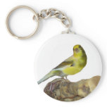 Roller canary keychains