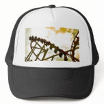 Rollercoaster hats