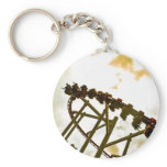 Rollercoaster keychains