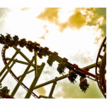 Rollercoaster photo sculptures