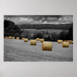 Rolling Home posters