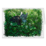 Rolling in Clover Greeting Card
