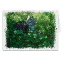 Rolling in Clover cards