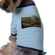 Roman Baths and Abbey, Bath, England classic Photo Pet Clothing
