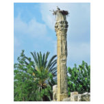 Roman Column, Stork Nest, Perge Flyer Design