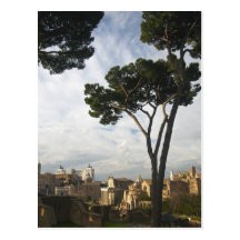 Roman Forum Postcards