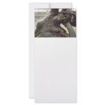 Roman Fountain Statue rack cards
