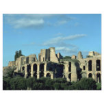 Roman ruins, Rome, Italy flyers