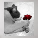 Romance is everywhere posters