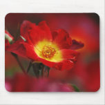 Romance rose and meaning mousepads