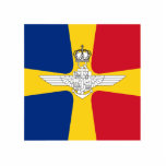 Romanian Air Transport And Marine Minister, Romani photo sculptures