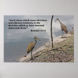Romans 16:17 Scripture Poster posters