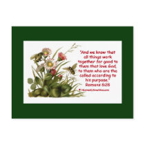 Romans 8:28 Bee Motif Postcards