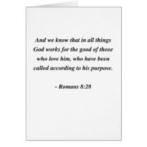 ROMANS 8:28