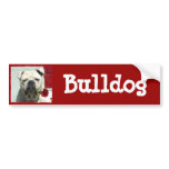 Romantic Bulldog bumper sticker bumper stickers