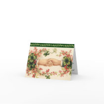 Romantic Irish Save the Date Cards