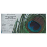 Romantic Peacock Wedding Program rack cards
