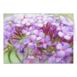 Romantic Purple Butterfly Bush Flowers Cards