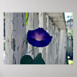 Romantic purple flowers poster