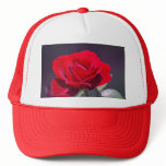 Romantic red rose and meaning mesh hats