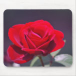 Romantic red rose and meaning mousepads