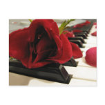 Romantic Red Rose Love postcards