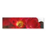 Romantic rose and meaning bumper stickers