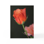 Romantic Rose Birthday Card