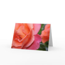 Romantic Rose cards