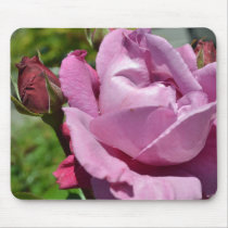 Romantic Rose Mousepads
