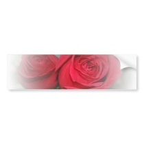 Romantic Soft Red Roses
