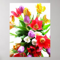 Romantic Spring Tulip Flowers