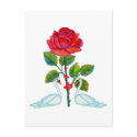 Romantic Valentine Swans postcards