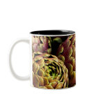 rome artichokes mug