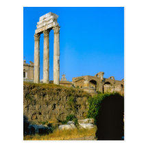 Rome; in the Forum 1 Post Card