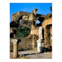 Rome; in the Forum 2 Postcard