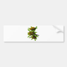 ROMERILLO BUMPER STICKERS