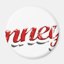 Romney '12 fridge magnets