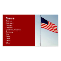 Romney Political Networking Business Card
