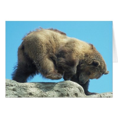 romping on the rocks Greeting Cards