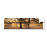 Ron Paul bumper stickers