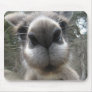 Roo Bob Mouse Mats