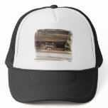 Roofie Racoon Hat