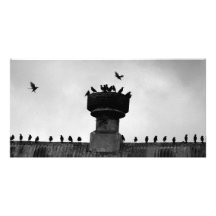Rooke Picture Card