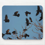 Rooks flying from tree mouse pads