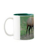 Roosevelt Elk Sparring mugs